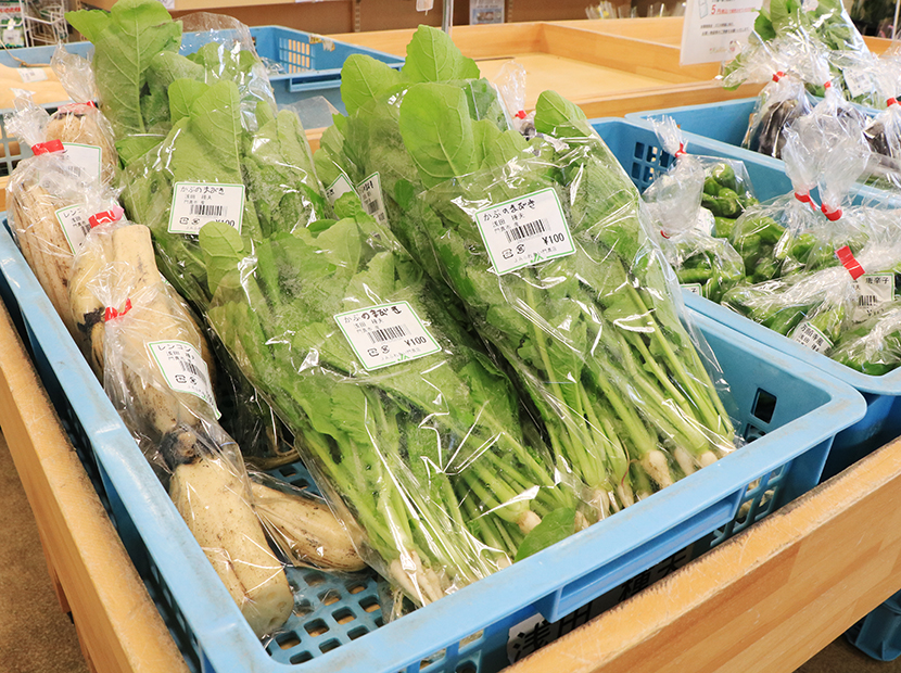 季節の野菜が人気で、取材時はれんこんや里芋などがよく売れるそう