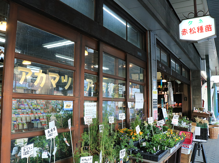 店頭には「難波葱」など伝統野菜の苗が並ぶことも。