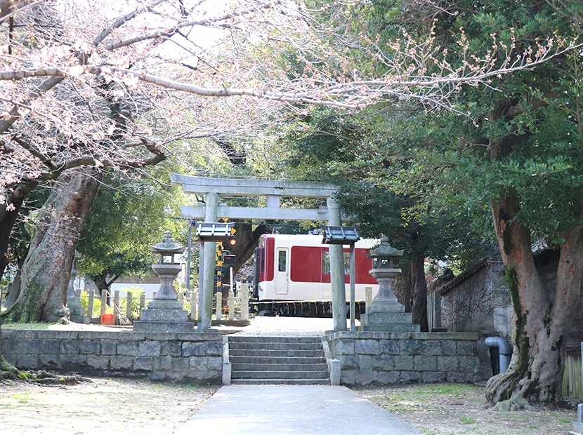 境内に近鉄南大阪線が乗り入れる神社として有名。近鉄マルーンと緑が良く映える。