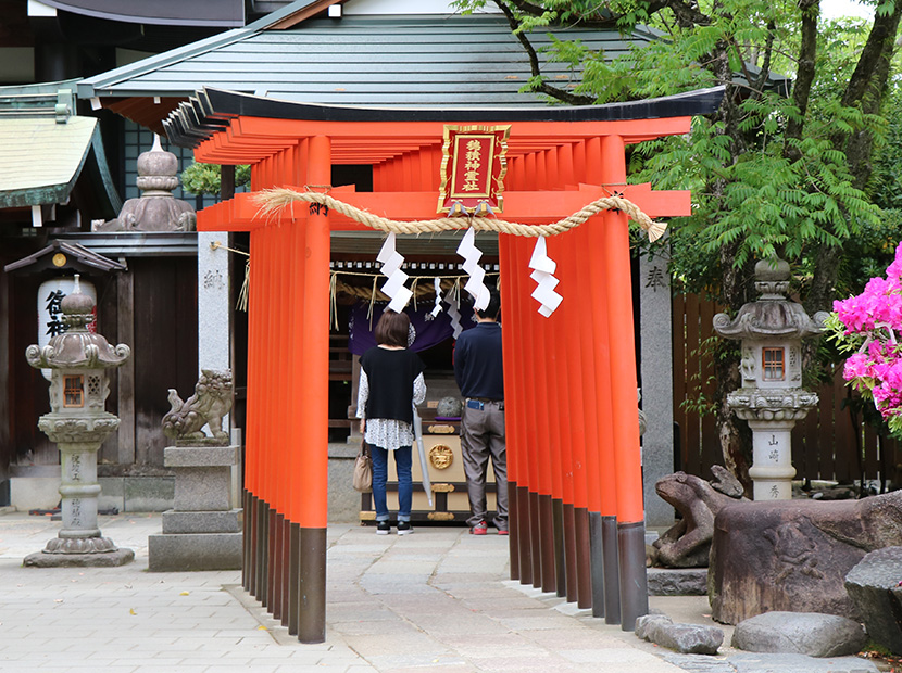 朱色の鳥居が連なって神秘的