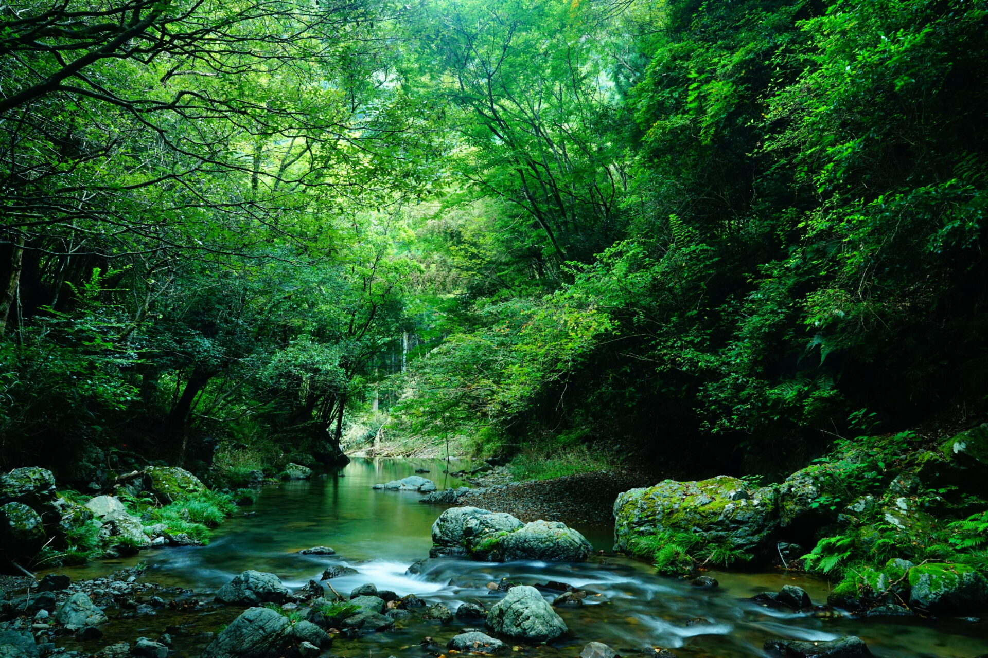 水無瀬川・山吹渓谷(島本町尺代)