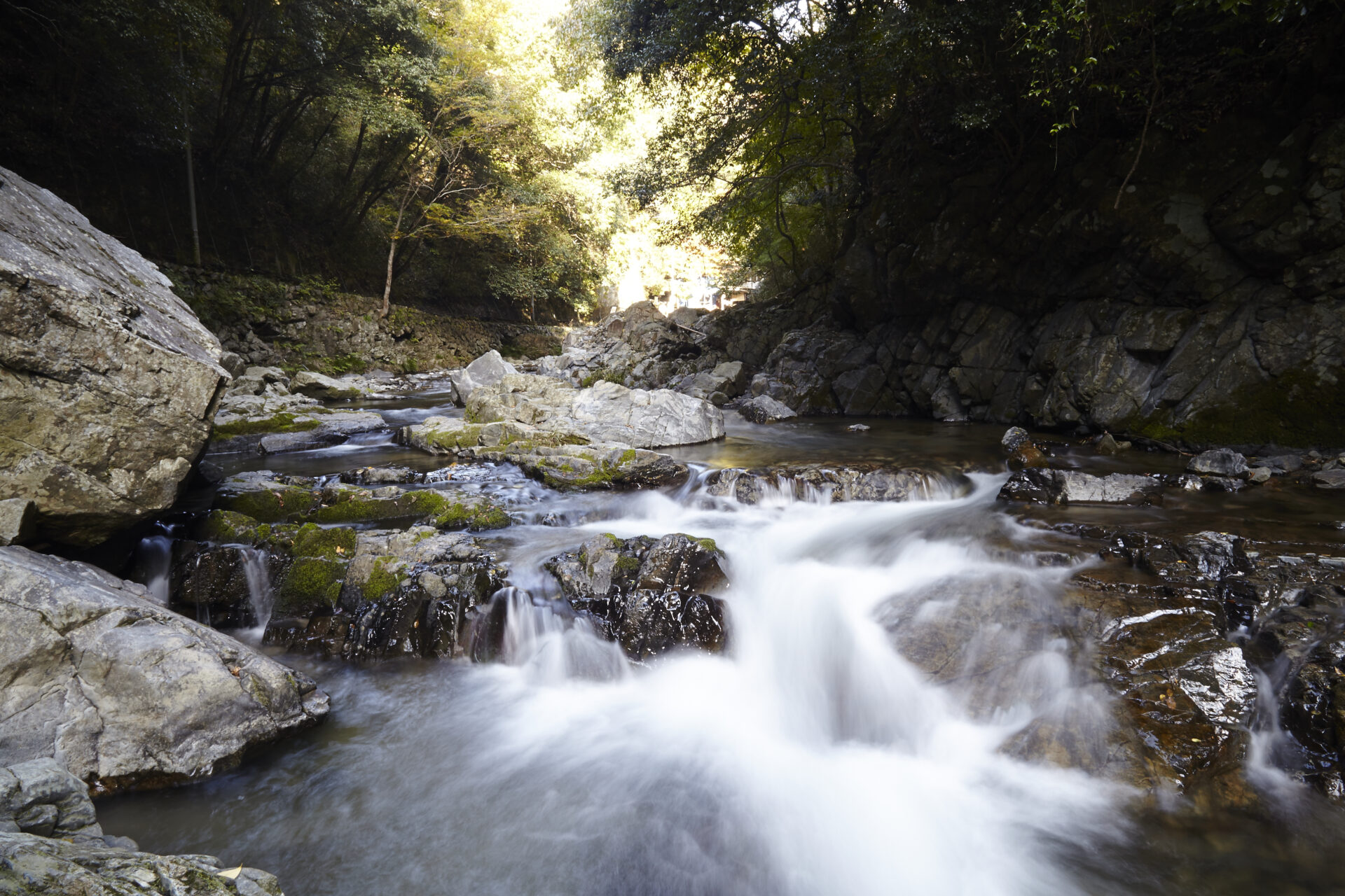 高槻市の豊かな自然を感じられる「摂津峡」