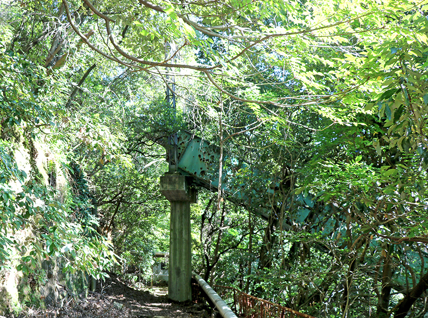廃業から20余年。その線路は箕面山の木々に覆われていた。※特別許可を得て撮影