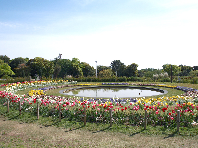 色とりどりの花が咲く円形花壇。