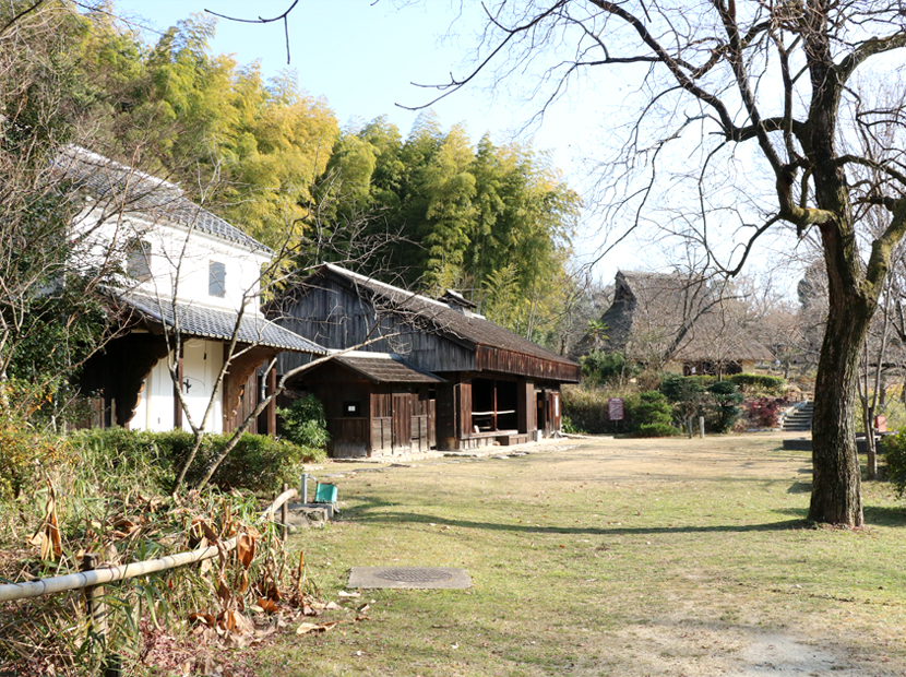 「集落」という名称がぴったりの雰囲気。小さな畑などもあり、生活感を感じさせる。