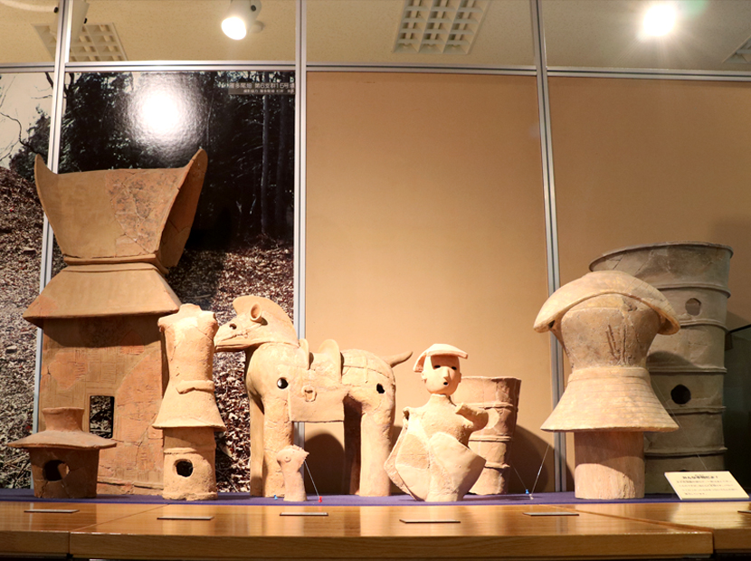 柏原市立歴史資料館に展示されている、市内の古墳から出土した埴輪たち。