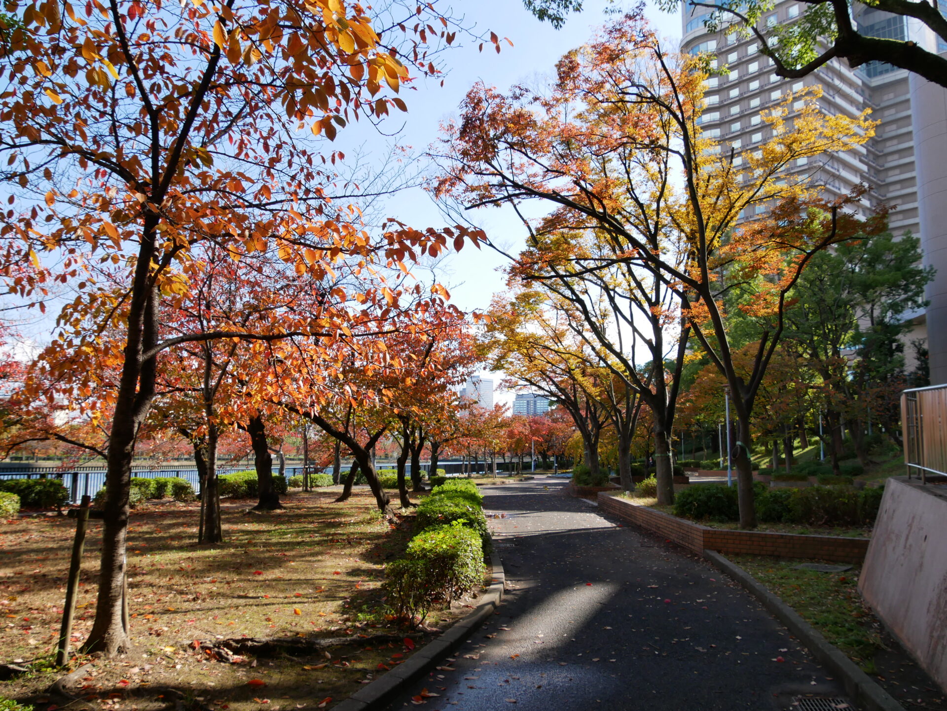 1923年に開園した毛馬桜之宮公園